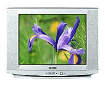 Замена материнской платы Samsung CS-29U2Q